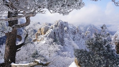 평양 남북정상회담에서 카톨릭만 배려